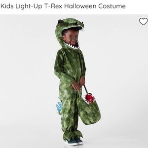 Pottery Barn Kids size 3T Dinosaur costume.
